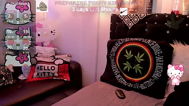 meow_mota's web cam
