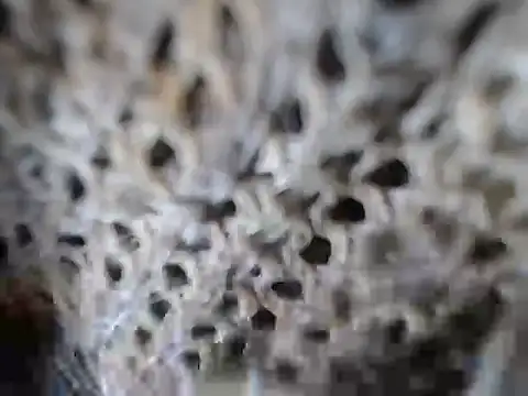 AmbarSwett11 live sex cam