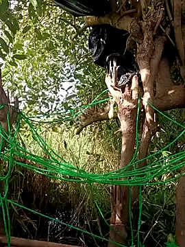 kaychrisk live sex cam