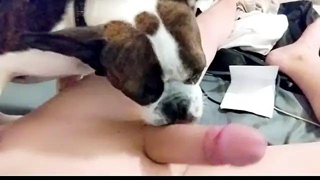 GraysenHolmes live sex cam