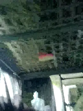 marinApma live sex cam