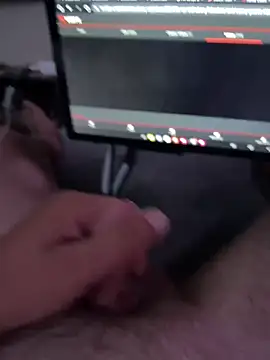 Sahnesteiff's web cam