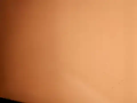 100Tauros live sex cam