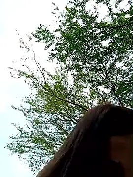 -Nicol's web cam