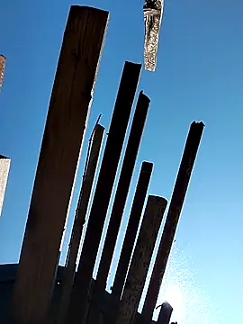 sarpe4 live sex cam