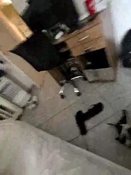 MysterBearMG live sex cam