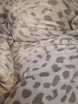 thicktash live sex cam