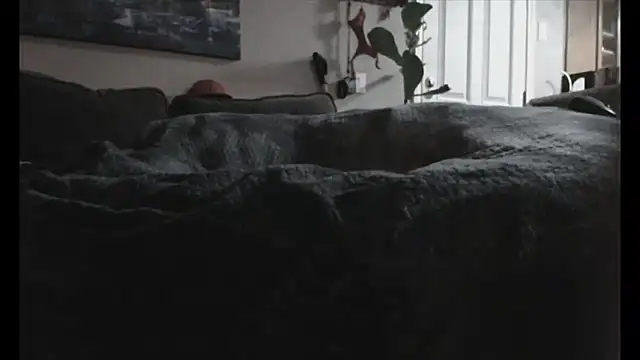 LeeCox live sex cam
