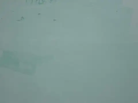 Cute_Alaina live sex cam