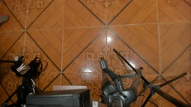 JolyneAndDune's web cam