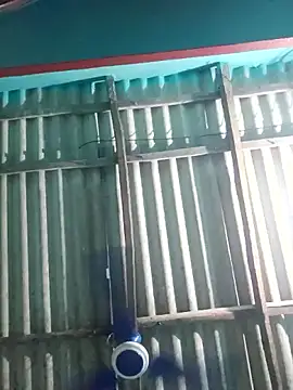 hotbaby_5 live sex cam