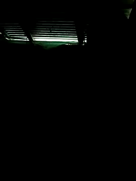 Nissu_Maarbda's cam snapshot