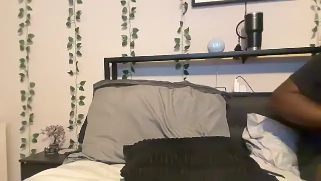 Stellabunnyy live sex cam