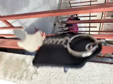 abdierkader live sex cam