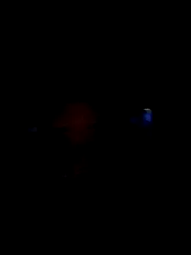 Hungwell1515 live sex cam