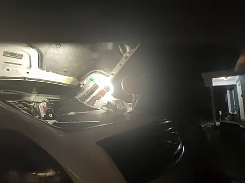 bearcub300 live sex cam