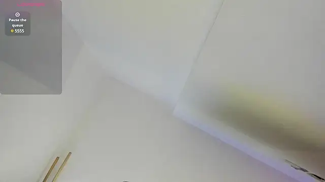 twinguys live sex cam