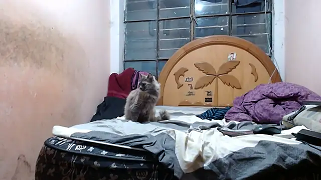 nakedlima live sex cam