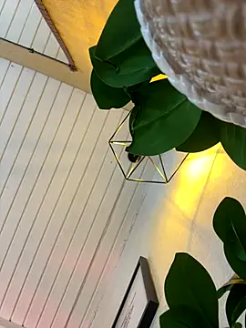 ash_ricci live sex cam