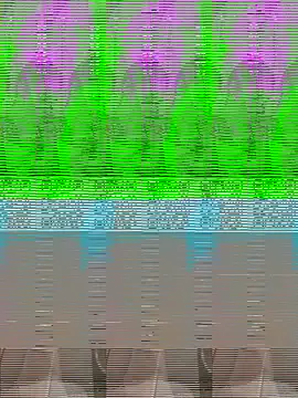 CirocObama69 live sex cam