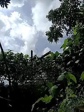 arafat_mia live sex cam