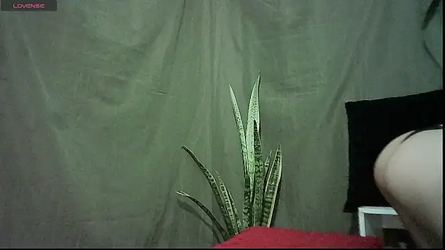 JuliaMack's cam snapshot