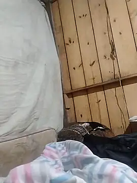 alemaohjsin's web cam