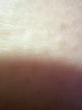 ghazal00 live sex cam