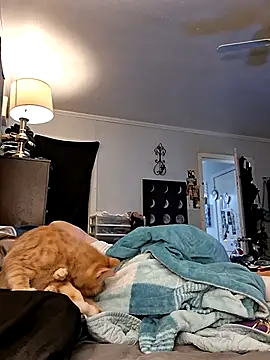 skyeb0787's web cam