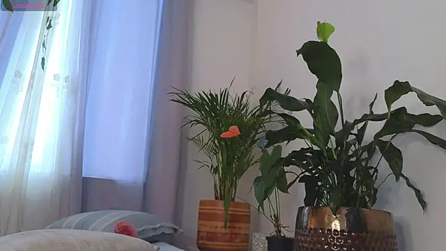 Tommyfoxboy live sex cam