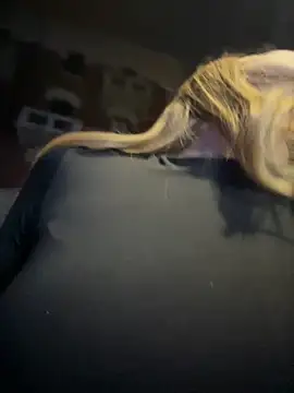AnastasiaAniess live sex cam
