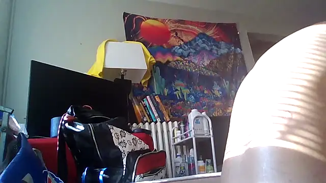 ReallyReallyReal's web cam