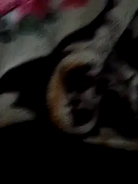 xerxusi live sex cam