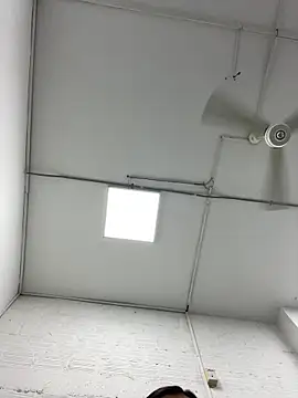 LICEET live sex cam