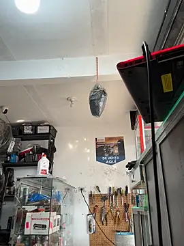 Paul22cm- live sex cam