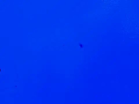hanna_thiago_ live sex cam