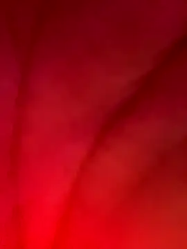 izanmiller2001 live sex cam