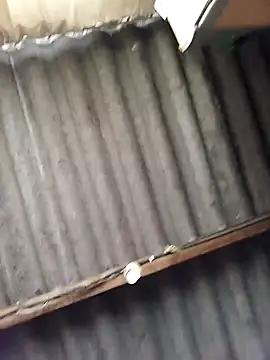 average_price live sex cam