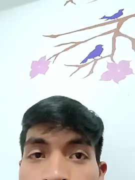 DavidVergagigante420 live sex cam