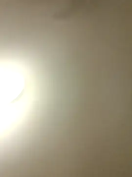 sirchubster live sex cam
