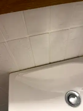 monikaas live sex cam