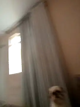 MysterBearMG live sex cam