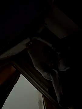 jiajia_L live sex cam