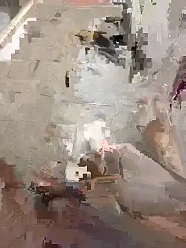 Gionnytav live sex cam