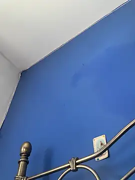 stevo170t live sex cam