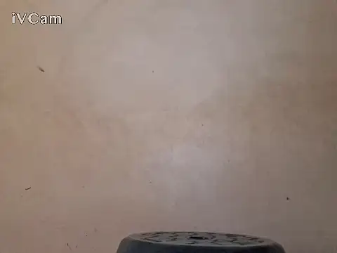 royblackbigpvt live sex cam