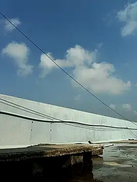 tamil202 live sex cam