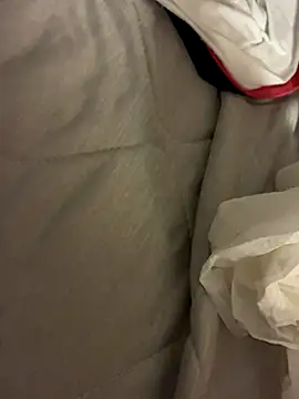 JinVelvet live sex cam