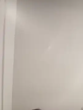 Morguisssz