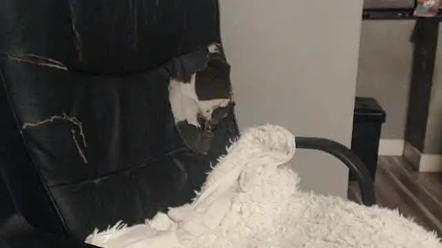 sexyfuckers live sex cam